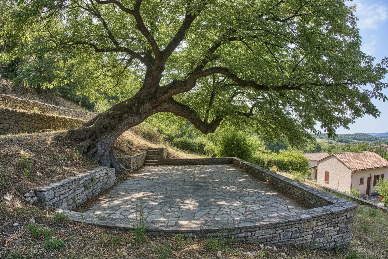 Grand châtaignier penché au-dessus d'une terrasse sur terrain en pente à Saint-Martin-de-Valgalgues avant intervention