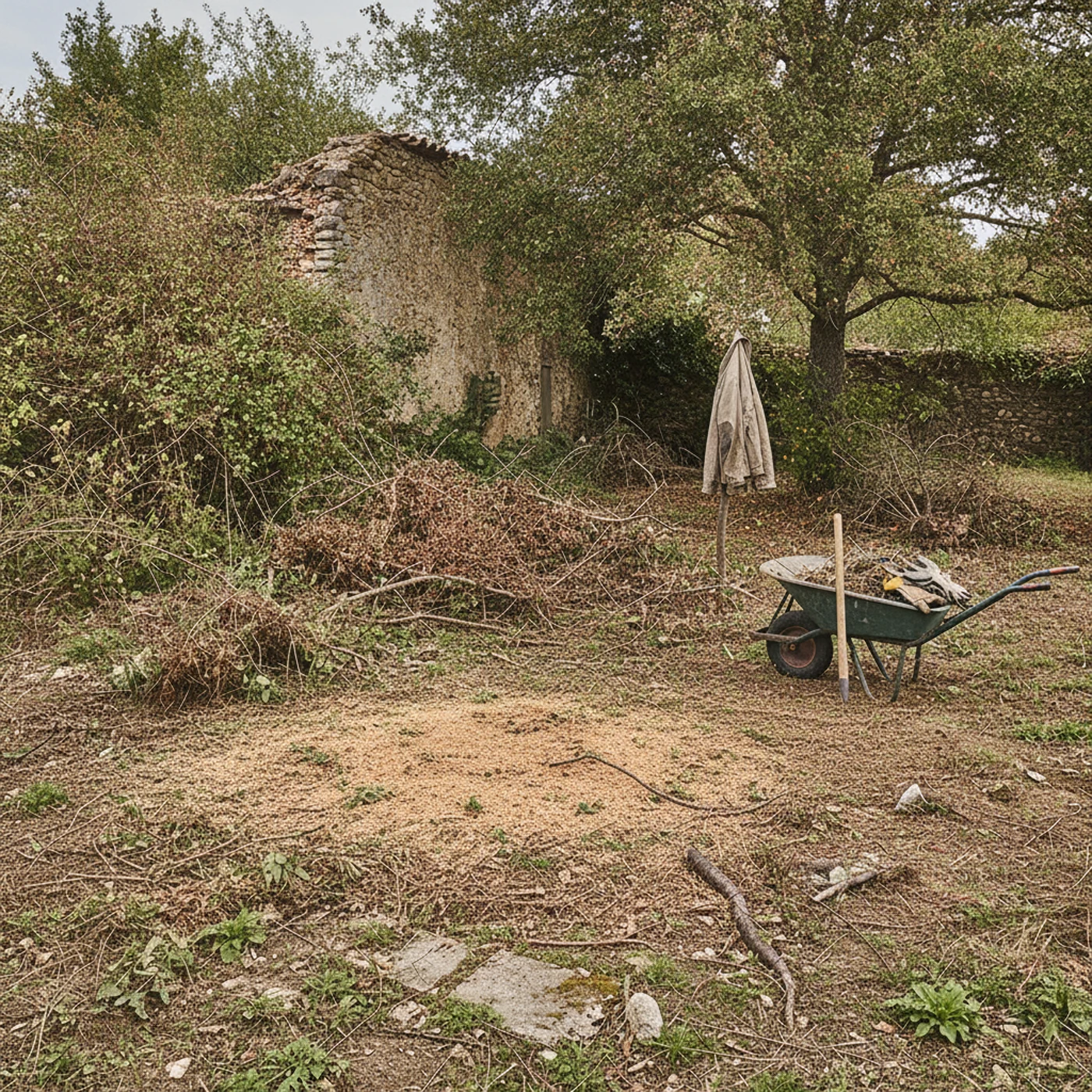 Terrain nivelé après rognage de souche à Saint-Privat-des-Vieux
